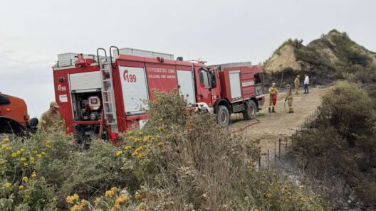 Αχαΐα: Αμεση συνδρομή της Περιφέρειας στην πυρκαγιά της Ακράτας ΦΩΤ