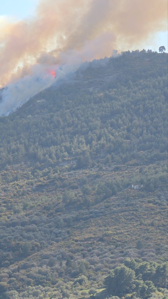 Αχαΐα: Αμεση συνδρομή της Περιφέρειας στην πυρκαγιά της Ακράτας ΦΩΤΟ