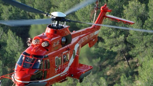 Πήλιο: Φωτιά σε δασική έκταση - Επιχειρούν και εναέρια μέσα