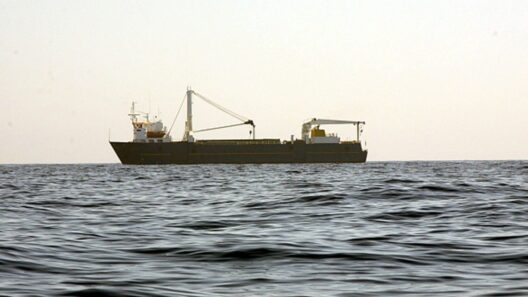 Υπουργείο Ναυτιλίας: Διαψεύδει ότι κατασχέθηκε το πλοίο «Epaminondas» από τους Φρουρούς της Επανάστασης