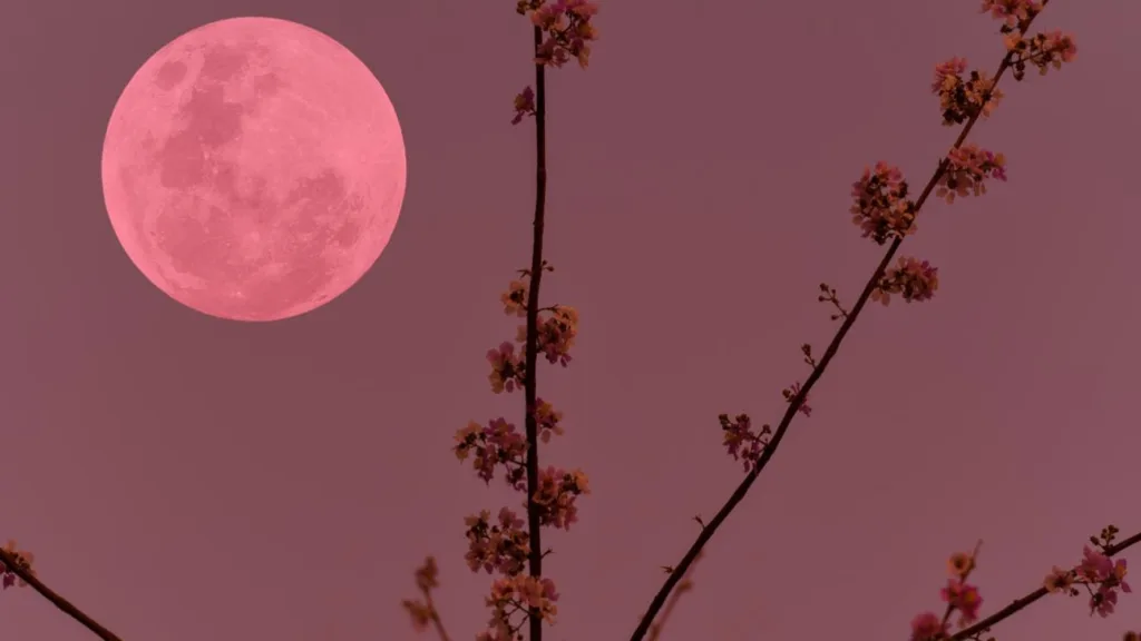 Απόψε η «ροζ» πανσέληνος: Γιατί ονομάστηκε έτσι, πώς επηρεάζει τον ύπνο μας