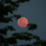 Σήμερα το βράδυ η «Ροζ Πανσέληνος»: Ο μύθος που την ακολουθεί