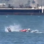 ΒΙΝΤΕΟ με σέρφερ να «συγκρούεται» με φάλαινα!