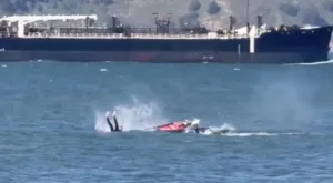 ΒΙΝΤΕΟ με σέρφερ να «συγκρούεται» με φάλαινα!