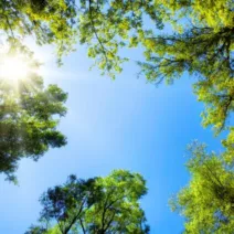 Αχαΐα: Κορύφωση της θερμοκρασιακής ανόδου