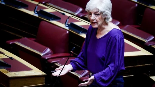 «Αποτελεσματικές υπηρεσίες κοινωνικής ασφάλισης»