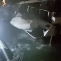 Δυτική Αττική - κακοκαιρία «Erminio» - Γιώργος Βάλλης: «Λήψη μέτρων για ασφάλεια σκαφών και πληρωμάτων» ΒΙΝΤΕΟ