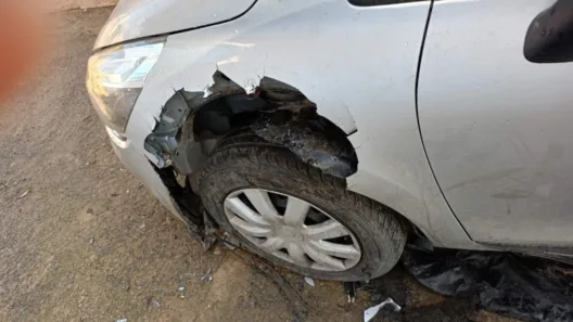 Σκύλος επιτέθηκε σε αυτοκίνητο και το «έφαγε»! ΦΩΤΟ