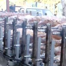 Πάτρα: Ο κρεοπώλης με τις 90 και πλέον σούβλες και το αρνί take away