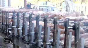 Πάτρα: Ο κρεοπώλης με τις 90 και πλέον σούβλες και το αρνί take away