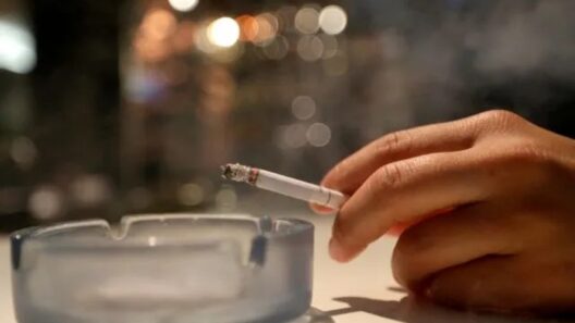 Δυτική Ελλάδα: Δεκάδες πρόστιμα από την ΕΛΑΣ για τον αντικαπνιστικό νόμο