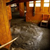 Κυψέλη: Τι είναι ο αθηναϊκός σχιστόλιθος που ανέβλυζε από αυλή εγκαταλειμμένου σπιτιού ΦΩΤΟ