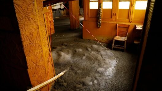 Κυψέλη: Τι είναι ο αθηναϊκός σχιστόλιθος που ανέβλυζε από αυλή εγκαταλειμμένου σπιτιού ΦΩΤΟ