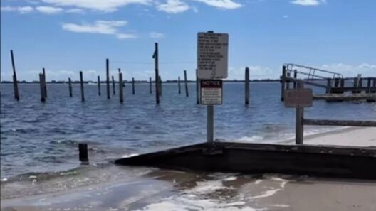 Νέα Υόρκη: Βακτήριο που σκοτώνει σε 48 ώρες στα νερά