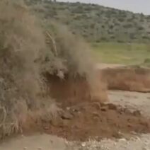 Δραματικές ώρες για πατέρα και γιο σε παραλία της Βάρκιζας - Καταπλακώθηκαν από χώματα 17 Δραματικές ώρες για πατέρα και γιο σε παραλία της Βάρκιζας - Καταπλακώθηκαν από χώματα