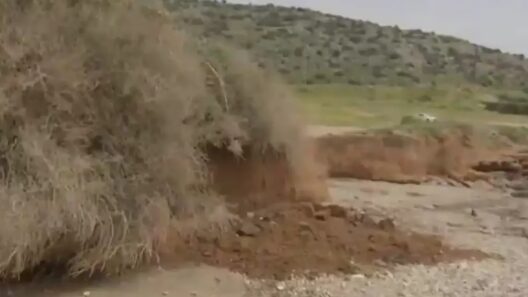 Δραματικές ώρες για πατέρα και γιο σε παραλία της Βάρκιζας - Καταπλακώθηκαν από χώματα