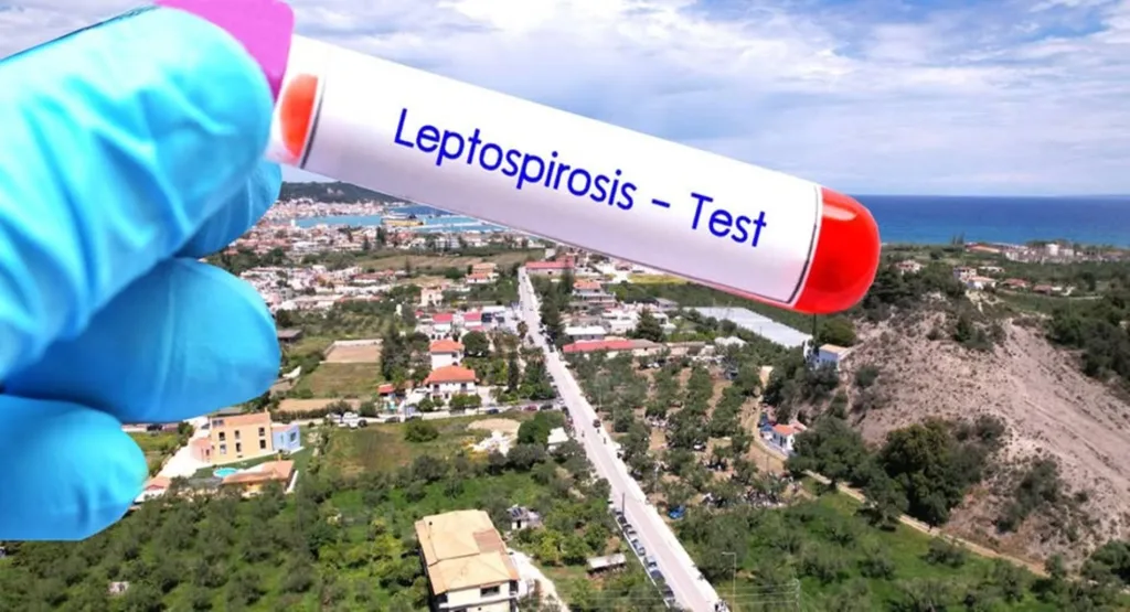 Ζάκυνθος: Εκτακτη σύσκεψη μετά τα κρούσματα λεπτοσπείρωσης, το ένα θανατηφόρο