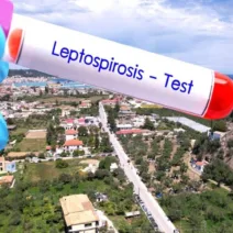 Ζάκυνθος: Εκτακτη σύσκεψη μετά τα κρούσματα λεπτοσπείρωσης, το ένα θανατηφόρο