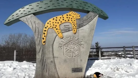 Εργαζόμενος ζωολογικού κήπου έκαψε τη γυναίκα του στον κλίβανο των ζώων