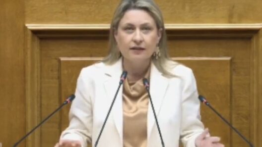 «Συγκρουόμαστε με το βαθύ Κράτος που ταλαιπωρεί τους πολίτες»