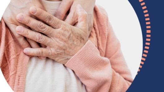 Έναρξη του έργου acaDEMia στην Πάτρα