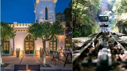 Το One Day Tourism στην Αιγιάλεια