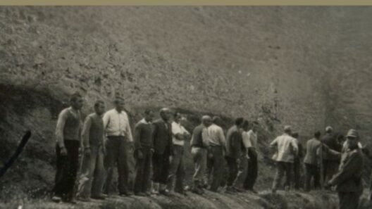 Προβολή της ταινίας «το Τελευταίο Σημείωμα» από τo Στέκι Νεολαίας Πάτρας