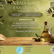 Το 3ο Φεστιβάλ «Ελιά και Ελαιόλαδο η διατροφική αξία», στην Χαλανδρίτσα