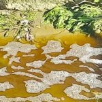 Ξερόλακκα Πατρών: Πυρκαγιές, διαρροές λυμάτων και δυσοσμία - Η Δημόσια Υγεία σε κίνδυνο ΗΧΗΤΙΚΟ