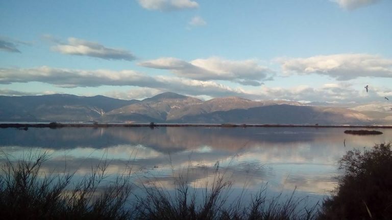Αλυκή Αιγίου: Ο υγρότοπος με σπάνια πουλιά διασώθηκε από την «ανάπτυξη» ΒΙΝΤΕΟ-ΦΩΤΟ 29 Αλυκή Αιγίου: Ο υγρότοπος με σπάνια πουλιά διασώθηκε από την «ανάπτυξη» ΒΙΝΤΕΟ-ΦΩΤΟ