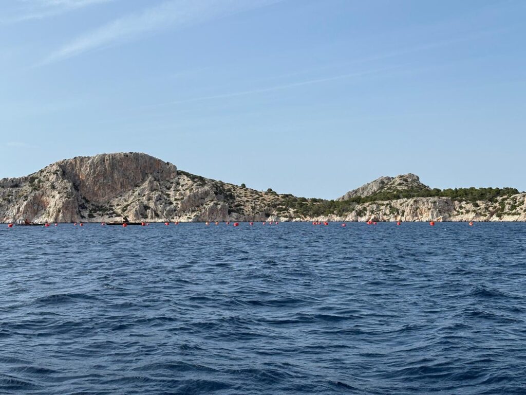 Ταφόπλακα για τον Θαλάσσιο Τουρισμό στην Δωρούσα Αγκιστρίου – Παρέμβαση Γ. Βάλλη για την Πλωτή Μονάδα Ιχθυοκαλλιέργειας 29 Ταφόπλακα για τον Θαλάσσιο Τουρισμό στην Δωρούσα Αγκιστρίου – Παρέμβαση Γ. Βάλλη για την Πλωτή Μονάδα Ιχθυοκαλλιέργειας