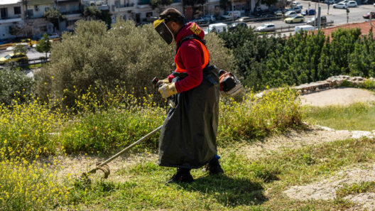 Πάτρα: Υποχρεωτικός καθαρισμός οικοπέδων – Τα πρόστιμα και η δήλωση ΒΙΝΤΕΟ-ΟΔΗΓΟΣ