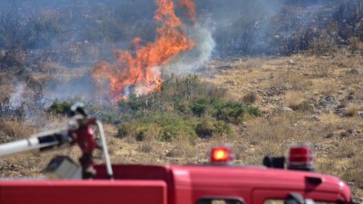Πάτρα: Φωτιά κοντά στον καταυλισμό του Ριγανόκαμπου 36 Πάτρα: Φωτιά κοντά στον καταυλισμό του Ριγανόκαμπου