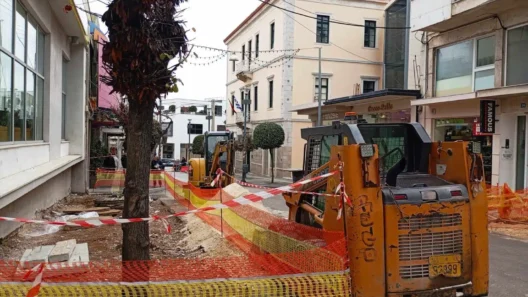 Αίγιο: «Εκπληξη» με...φοίνικες στην Ανάπαλση της οδού Μητροπόλεως ΦΩΤΟ