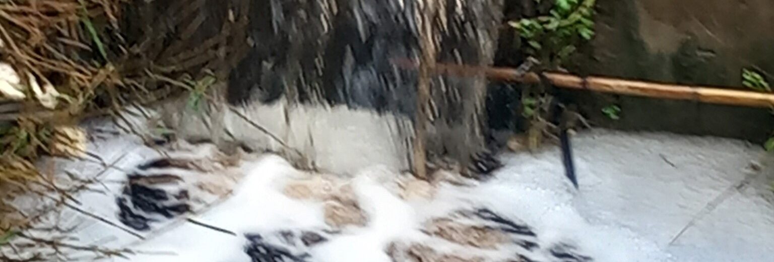Πάτρα: Επιμένουν οι κάτοικοι στον ΧΥΤΑ Ξερόλακκας σε...«υγρά λύματα θανάτου» - Τί παραδέχεται στο Patrapress.gr ο αντιδήμαρχος Μ.Αναστασίου ΦΩΤΟ