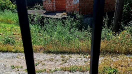 Αχαΐα: Τραυματισμός γυναίκας σε άκρως επικίνδυνο αυλάκι ΦΩΤΟ