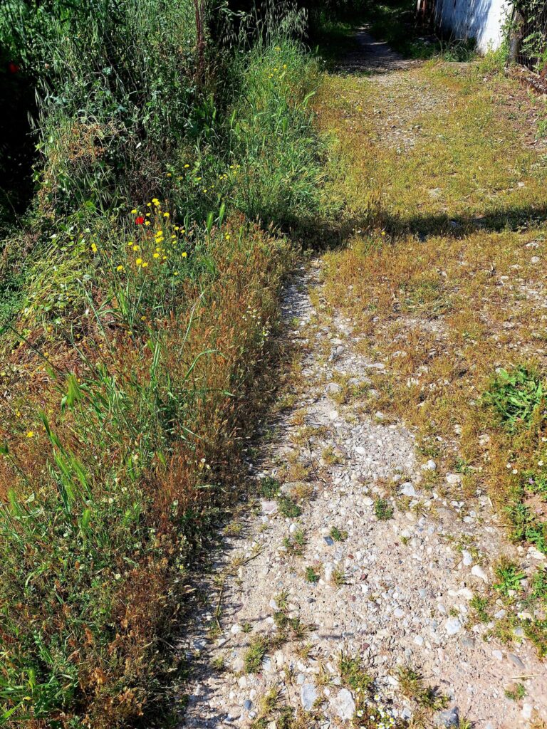 Αχαΐα: Τραυματισμός γυναίκας σε άκρως επικίνδυνο αυλάκι ΦΩΤΟ