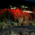 Πάτρα: Φωτιά στα Συχαινά με κινητοποίηση Πυροσβεστικών δυνάμεων ΦΩΤΟ