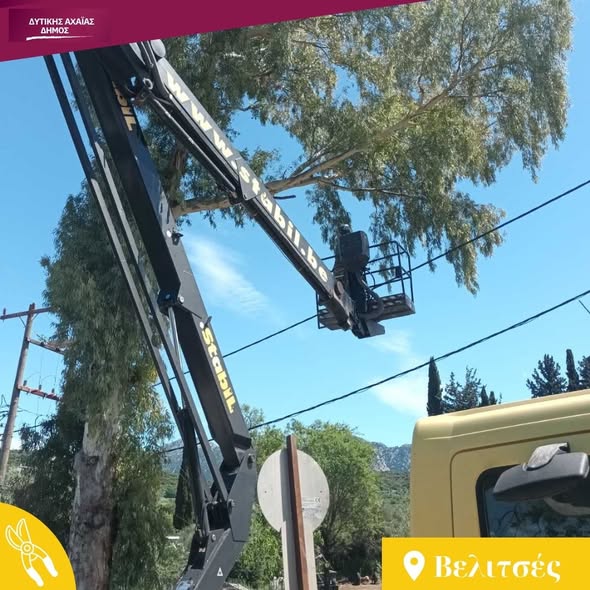Δυτική Αχαΐα: Κλαδέματα δέντρων και καθαρισμός βλάστησης υπό τον φόβο πυρκαγιών ΦΩΤΟ 37 Δυτική Αχαΐα: Κλαδέματα δέντρων και καθαρισμός βλάστησης υπό τον φόβο πυρκαγιών ΦΩΤΟ