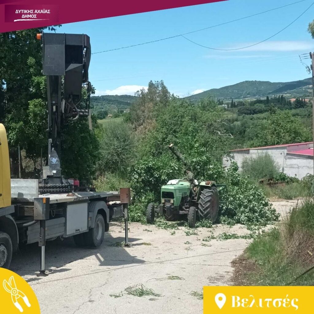 Δυτική Αχαΐα: Κλαδέματα δέντρων και καθαρισμός βλάστησης υπό τον φόβο πυρκαγιών ΦΩΤΟ 31 Δυτική Αχαΐα: Κλαδέματα δέντρων και καθαρισμός βλάστησης υπό τον φόβο πυρκαγιών ΦΩΤΟ