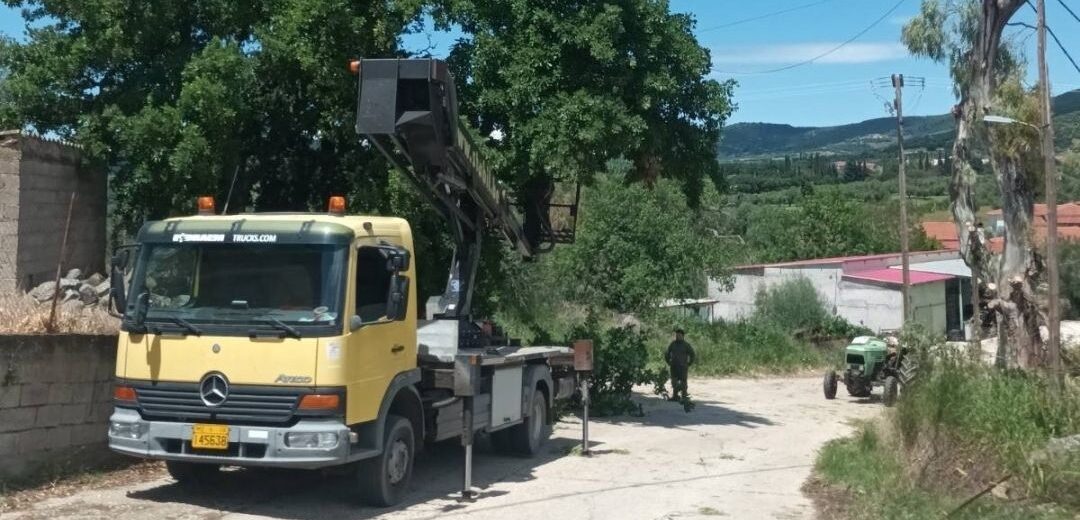 Δυτική Αχαΐα: Κλαδέματα δέντρων και καθαρισμός βλάστησης υπό τον φόβο πυρκαγιών ΦΩΤΟ