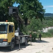 Δυτική Αχαΐα: Κλαδέματα δέντρων και καθαρισμός βλάστησης υπό τον φόβο πυρκαγιών ΦΩΤΟ