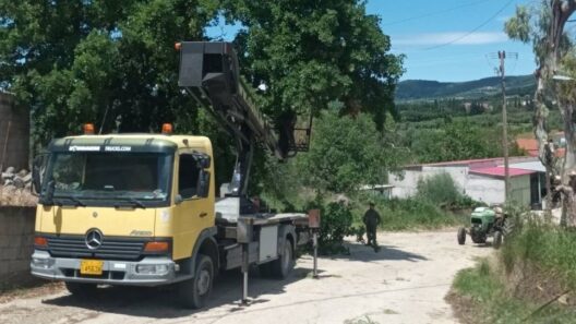 Δυτική Αχαΐα: Κλαδέματα δέντρων και καθαρισμός βλάστησης υπό τον φόβο πυρκαγιών ΦΩΤΟ