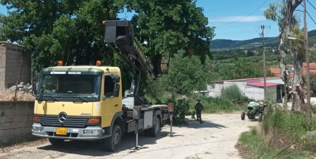 Δυτική Αχαΐα: Κλαδέματα δέντρων και καθαρισμός βλάστησης υπό τον φόβο πυρκαγιών ΦΩΤΟ 4 Δυτική Αχαΐα: Κλαδέματα δέντρων και καθαρισμός βλάστησης υπό τον φόβο πυρκαγιών ΦΩΤΟ