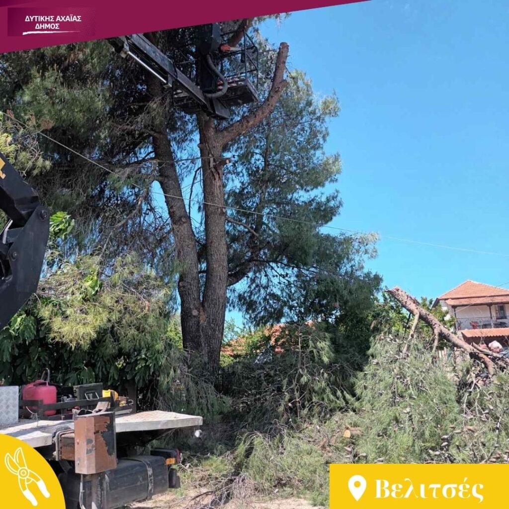 Δυτική Αχαΐα: Κλαδέματα δέντρων και καθαρισμός βλάστησης υπό τον φόβο πυρκαγιών ΦΩΤΟ 29 Δυτική Αχαΐα: Κλαδέματα δέντρων και καθαρισμός βλάστησης υπό τον φόβο πυρκαγιών ΦΩΤΟ