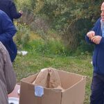 Το έθιμο της Κουλούρας στον Αγιο Αθανάσιο Λεοντίου Αχαΐας ΦΩΤΟ