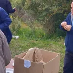 Το έθιμο της Κουλούρας στον Αγιο Αθανάσιο Λεοντίου Αχαΐας ΦΩΤΟ