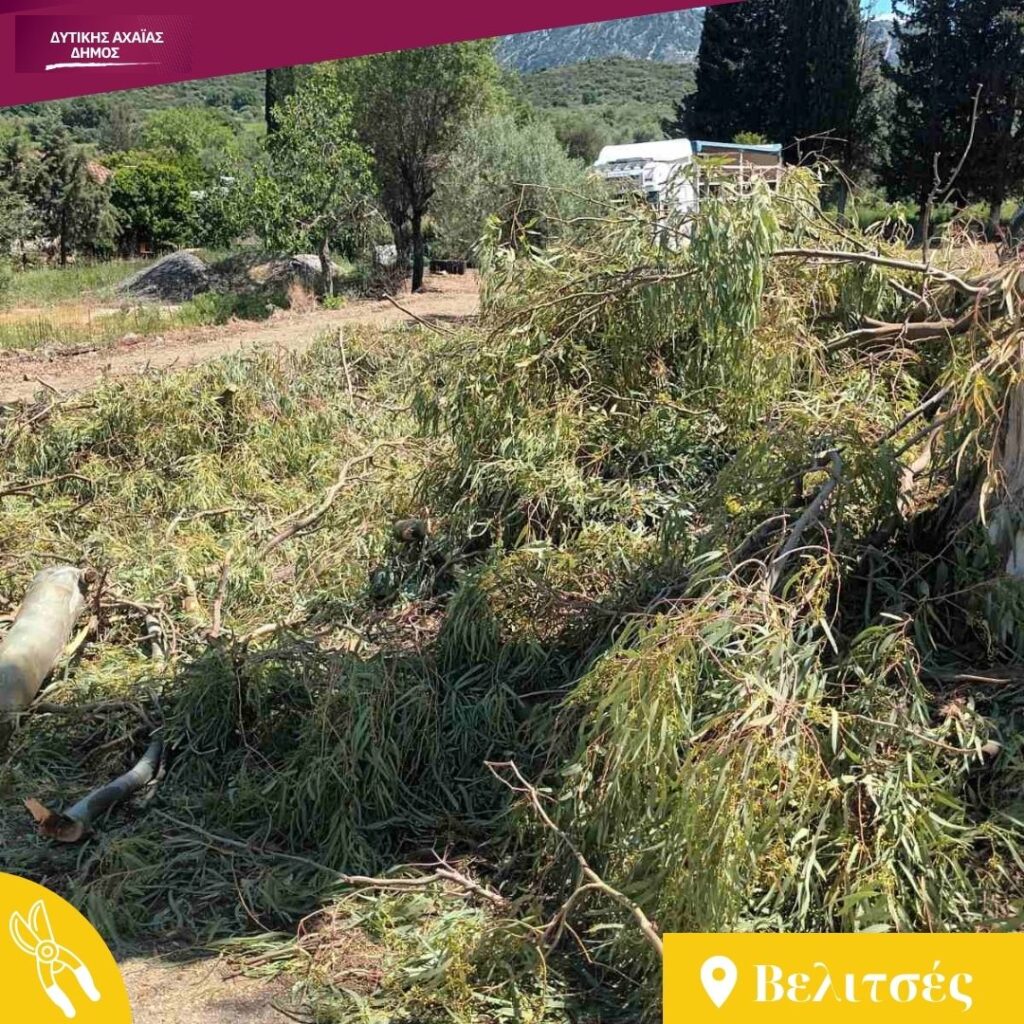 Δυτική Αχαΐα: Κλαδέματα δέντρων και καθαρισμός βλάστησης υπό τον φόβο πυρκαγιών ΦΩΤΟ 35 Δυτική Αχαΐα: Κλαδέματα δέντρων και καθαρισμός βλάστησης υπό τον φόβο πυρκαγιών ΦΩΤΟ