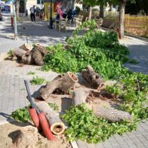 Πάτρα: Θλιβερό θέαμα στην Πλατεία Ολγας - Η απορία των περαστικών ΦΩΤΟ