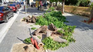 Πάτρα: Θλιβερό θέαμα στην Πλατεία Ολγας - Η απορία των περαστικών ΦΩΤΟ